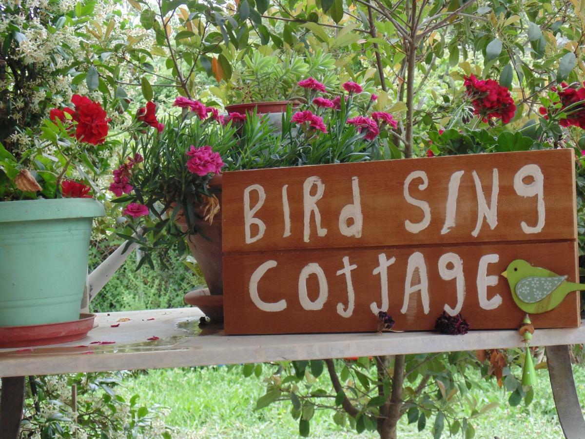 Birdsing Cottage ダシア エクステリア 写真